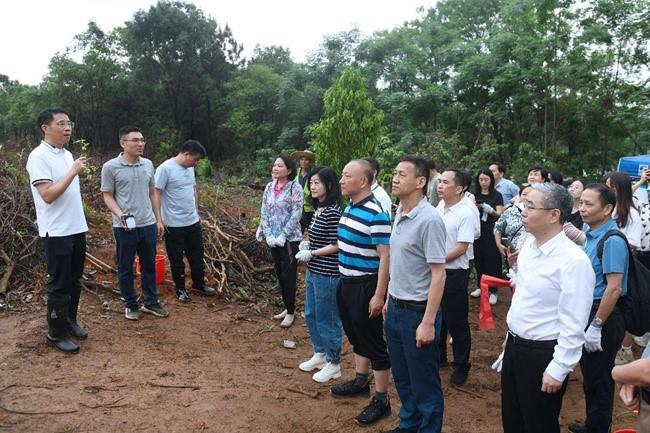 我会秘书处成员参加“我为广东种棵树”——省科协系统义务植树主题党日活动